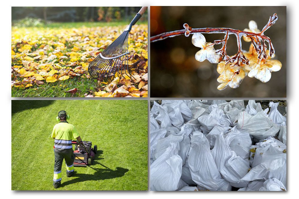 Fall-season