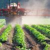 herbicide and pesticide