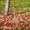leaf-raking
