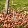 leaf-raking