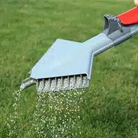 lawn-fertilization
