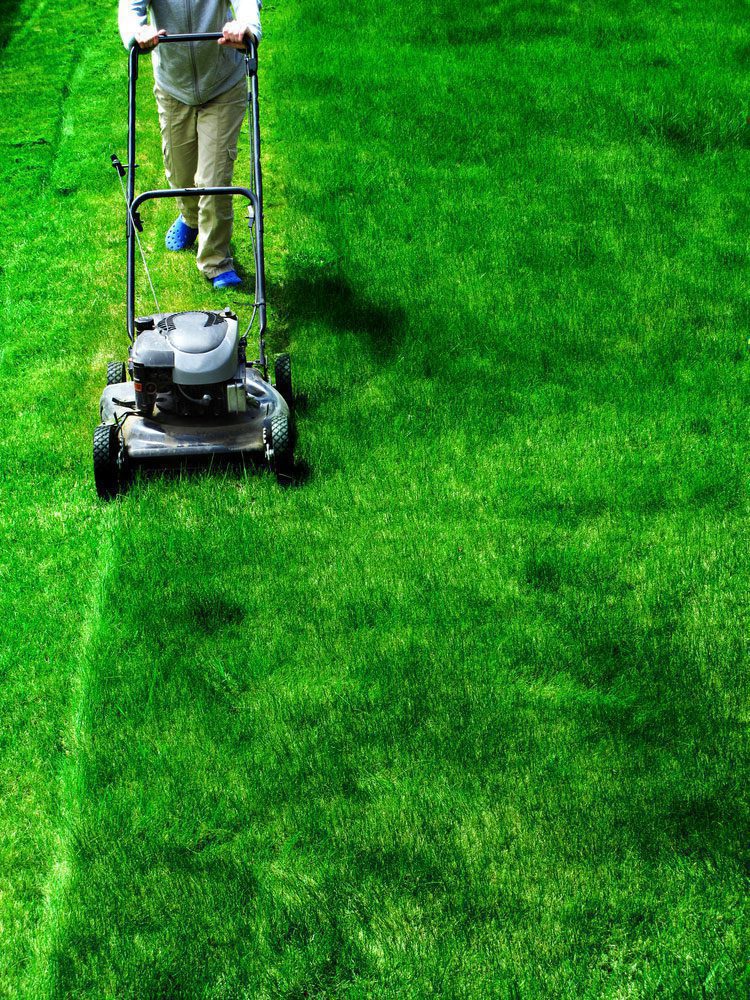 lawn-mowing