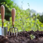 Maintained Garden - 7 Best Tips For Garden Maintenance 15 Maintained Garden