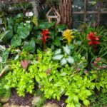 Best Indoor Garden Ideas And Types - Gardens Guide 3 TYPES OF INDOOR GARDENS