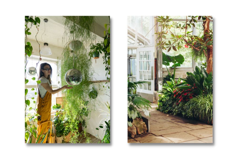 indoor-gardening
