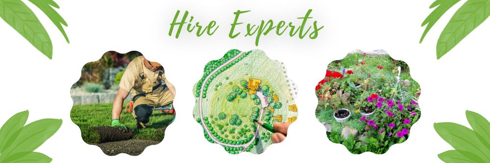 hire experts
