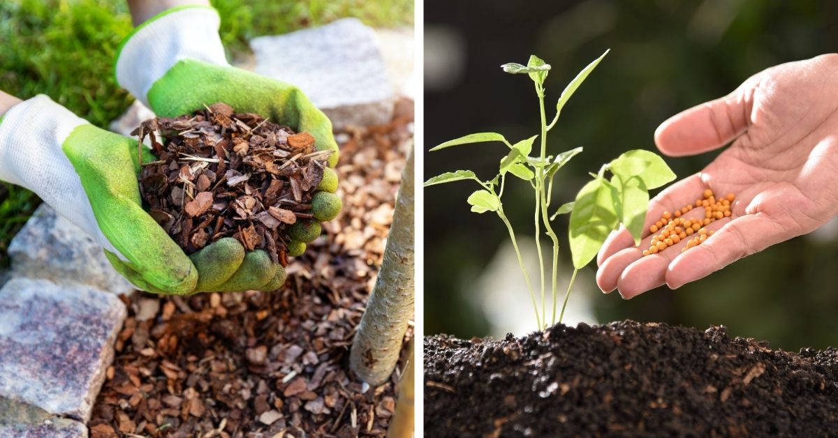 Mulching and Fertilizing The Duo for a Healthy Garden MPR Landscapes