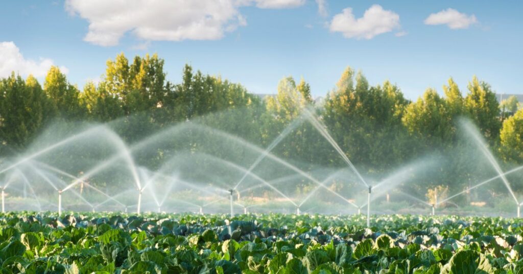 Everything You Need To Know About Irrigation System Maintenance