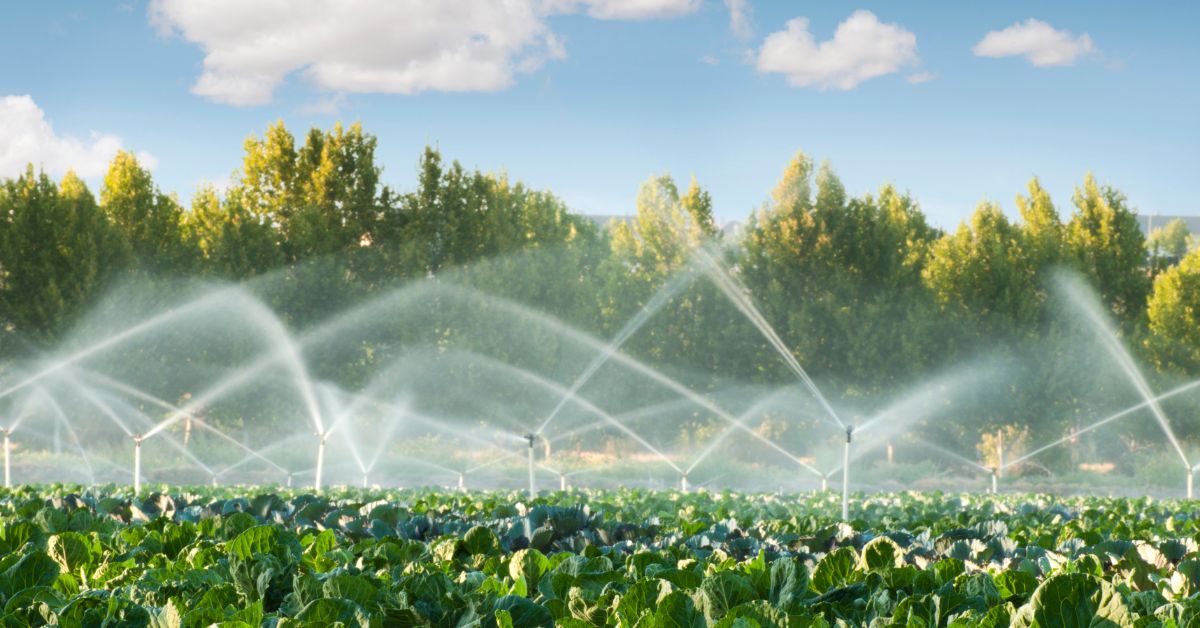 Everything You Need To Know About Irrigation System Maintenance MPR