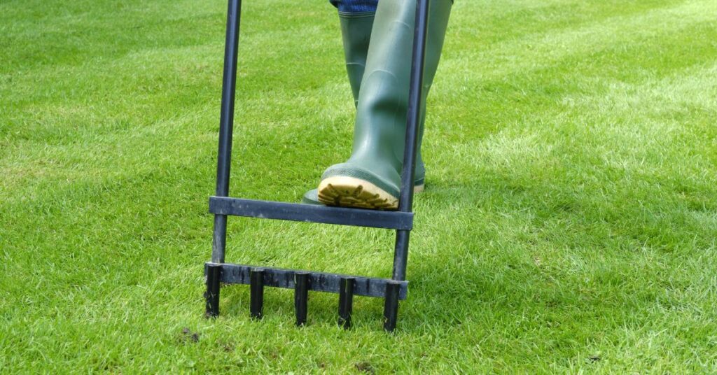 Lawn Aeration for a Healthy Landscape