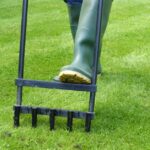 All You Need to Know About Lawn Aeration for a Healthy Landscape 4 Lawn Aeration for a Healthy Landscape