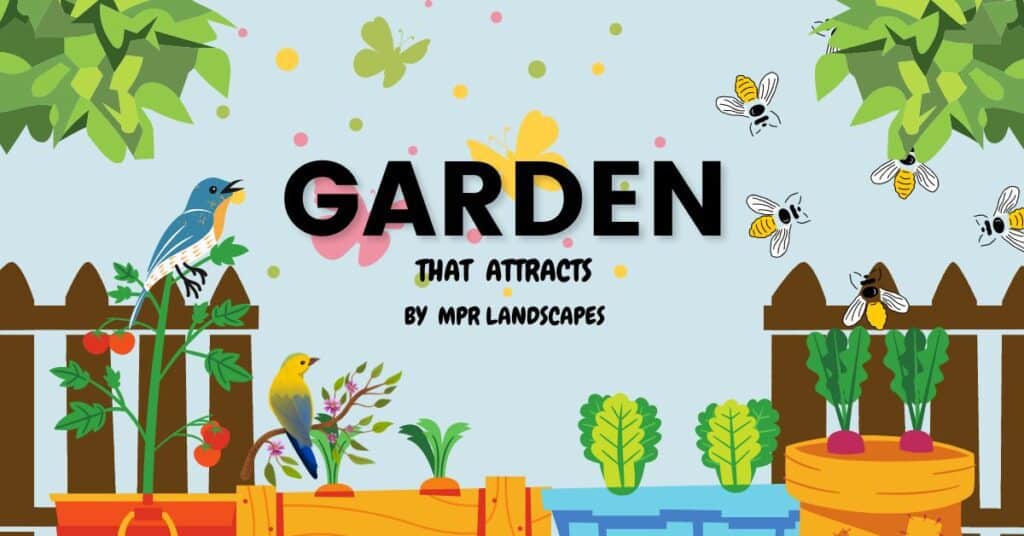 create a garden, landscape