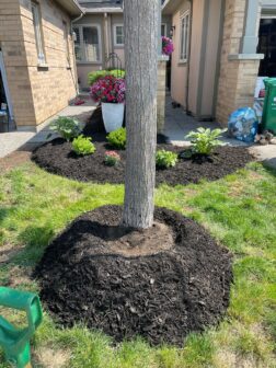 residential landscaping project 3