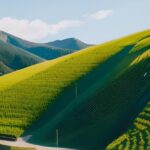 Decoding Landscape Grading: Understanding Its Workings and Significance for Your Landscape 8 Decoding Grading Understanding Its Workings and Significance for Your Landscape