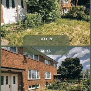 PORTFOLIO 43