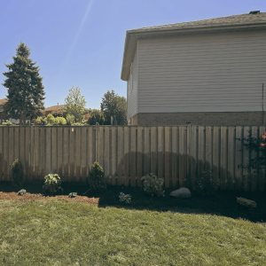 Project 15 Planting Project