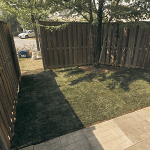 Project 17 Complete Backyard Makeover
