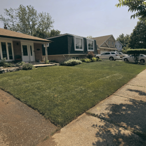 Project 20 Sod Installation